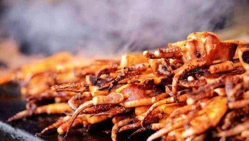 鱿鱼小吃摊爆料视频大全,街头美食背后的欢乐瞬间 第3张 鱿鱼小吃摊爆料视频大全,街头美食背后的欢乐瞬间 第3张