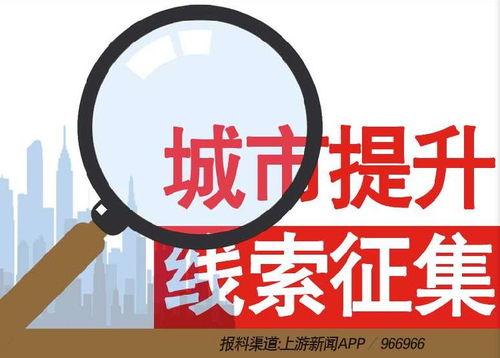 烟台新闻爆料热线电话 第2张 烟台新闻爆料热线电话 第2张