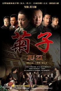 菊子电视剧全集在线观看,穿越时空的深情演绎