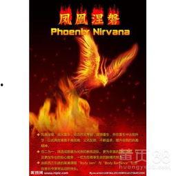 凤凰新闻爆料热线,揭秘新闻背后的真相 第2张 凤凰新闻爆料热线,揭秘新闻背后的真相 第2张