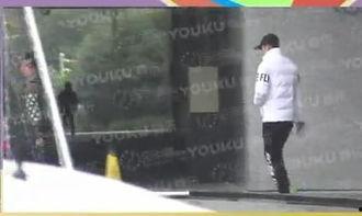 圈内cp爆料网站在线观看,独家揭秘明星恋情幕后故事