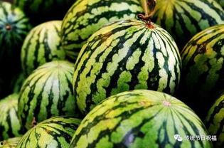 湘潭网红吃瓜群微信,揭秘网络社交圈的趣味与热议 第3张 湘潭网红吃瓜群微信,揭秘网络社交圈的趣味与热议 第3张