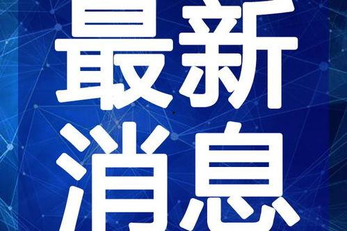 东方树叶爆料视频最新版,绿茶界的神秘面纱