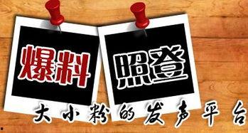 大厂新闻爆料,行业动态与内部秘密大曝光