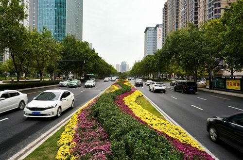 郑州金水路最新爆料,繁华地段惊现神秘项目,揭秘背后故事 第3张 郑州金水路最新爆料,繁华地段惊现神秘项目,揭秘背后故事 第3张