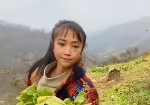 灵儿被爆料视频大全集免费观看,免费观看，揭秘幕后真相