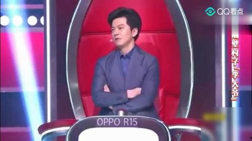 李健好声音爆料视频,独家爆料,精彩瞬间回顾 第3张 李健好声音爆料视频,独家爆料,精彩瞬间回顾 第3张