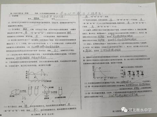 云南高考评卷老师爆料视频,评卷现场真实情况曝光 第2张 云南高考评卷老师爆料视频,评卷现场真实情况曝光 第2张