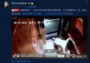 网红爆料家暴视频大全下载,触目惊心的真实案例大盘点 第2张 网红爆料家暴视频大全下载,触目惊心的真实案例大盘点 第2张