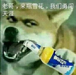 大哥爆料啤酒制作视频教程,自制啤酒全攻略,视频教程带你轻松入门 第3张 大哥爆料啤酒制作视频教程,自制啤酒全攻略,视频教程带你轻松入门 第3张