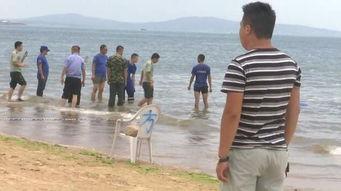 青岛海边爆料最新消息,惊现神秘海生物引发热议 第2张 青岛海边爆料最新消息,惊现神秘海生物引发热议 第2张