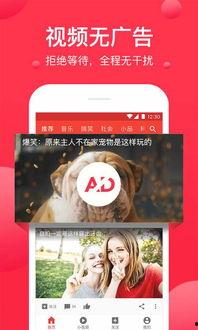 西瓜视频爆料库,热门事件幕后真相大起底