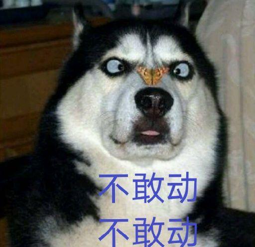 娱乐圈哈士奇爆料事件,揭秘明星隐私背后的真相 第2张 娱乐圈哈士奇爆料事件,揭秘明星隐私背后的真相 第2张