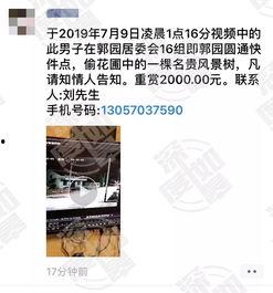 电影频道网友爆料视频,揭秘热门影片幕后故事
