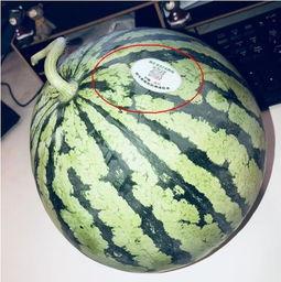 网红吃瓜最新,揭秘娱乐圈最新热点事件 第2张 网红吃瓜最新,揭秘娱乐圈最新热点事件 第2张