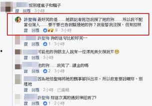 台湾爆料许圣梅视频,许圣梅视频事件引发舆论风暴 第2张 台湾爆料许圣梅视频,许圣梅视频事件引发舆论风暴 第2张
