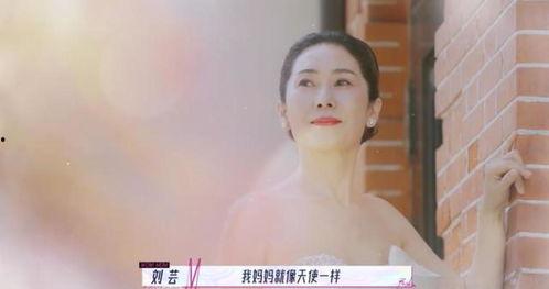 刘妈爆料故事大全最新,揭秘娱乐圈不为人知的幕后故事
