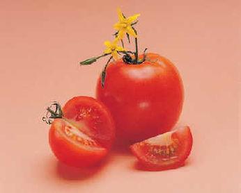 爆料西红柿成精视频,西红柿竟成精？惊呆众人！  第3张