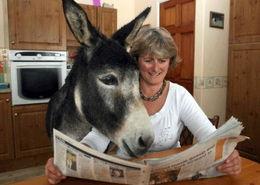 网红二驴女儿新闻爆料,揭秘家庭背后故事  第2张