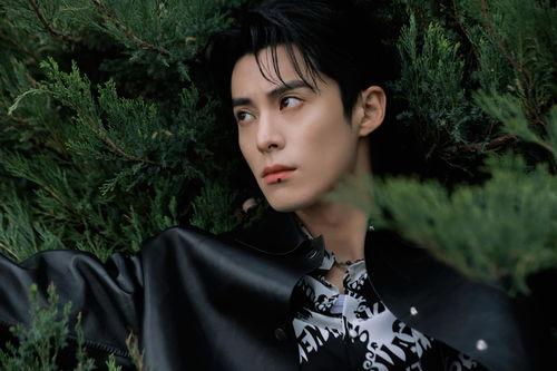 王鹤棣喜欢白鹿吗最新爆料,最新爆料揭秘心动瞬间