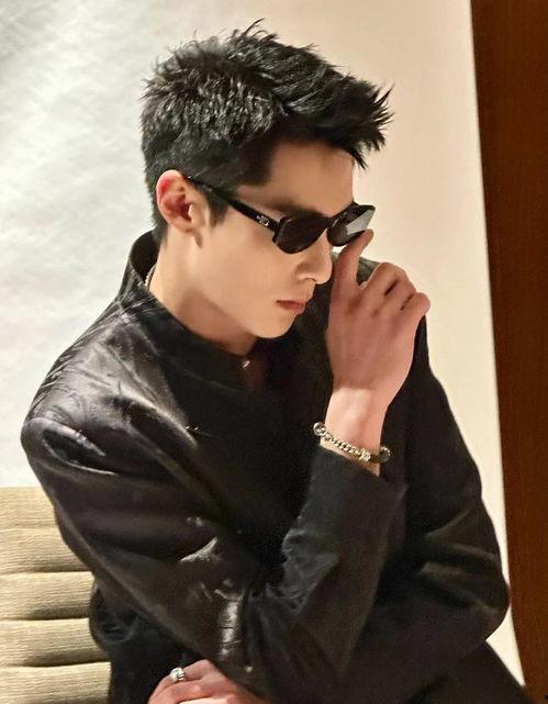 王鹤棣喜欢白鹿吗最新爆料,最新爆料揭秘心动瞬间  第3张