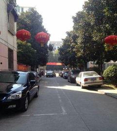 和平花园爆料最新消息,揭秘神秘事件背后的真相