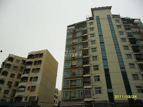 和平花园爆料最新消息,揭秘神秘事件背后的真相  第2张