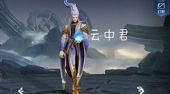 王者云中君最新爆料消息,神秘技能觉醒，王者战场再掀风云  第2张