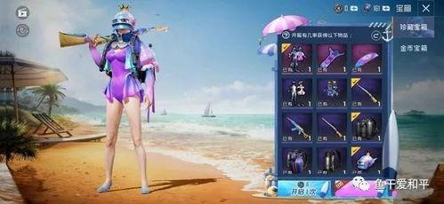 军需返场皮肤最新爆料,全新爆料揭示神秘返场皮肤 第3张 军需返场皮肤最新爆料,全新爆料揭示神秘返场皮肤 第3张