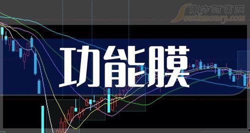 最新僚机爆料新闻报道,僚机爆料揭示重大新闻内幕  第2张