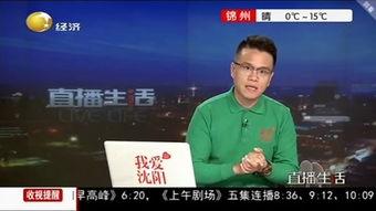 辽宁生活直播在线观看,全景式体验辽宁风土人情  第2张