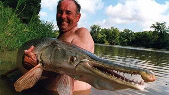 鳄雀鳝最新爆料视频,最新视频揭秘其真实面目