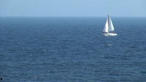 海洋最新爆料视频播放大全,最新爆料视频大盘点，探索神秘海洋世界