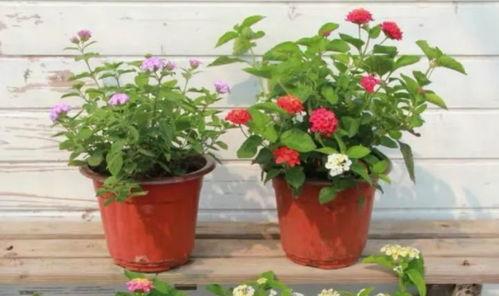 今年爆料新闻最新消息视频,最新热点事件视频深度解析 第3张 今年爆料新闻最新消息视频,最新热点事件视频深度解析 第3张