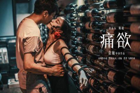 痛欲-在线观看,一场禁忌情感的燃烧之旅 第2张 痛欲-在线观看,一场禁忌情感的燃烧之旅 第2张