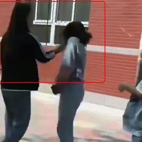 新闻爆料者拍视频怎么拍,如何巧妙拍摄视频，捕捉真实瞬间