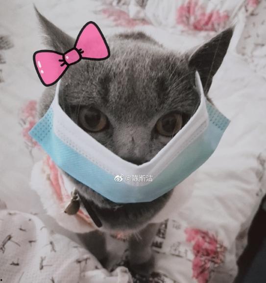 兔子口罩爆料视频,视频爆料背后的口罩行业真相 第2张 兔子口罩爆料视频,视频爆料背后的口罩行业真相 第2张