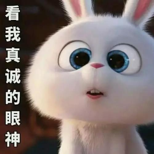 兔子口罩爆料视频,视频爆料背后的口罩行业真相 第3张 兔子口罩爆料视频,视频爆料背后的口罩行业真相 第3张