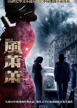 风萧萧电视剧在线观看,穿越时空的浪漫传奇，在线观看重温经典