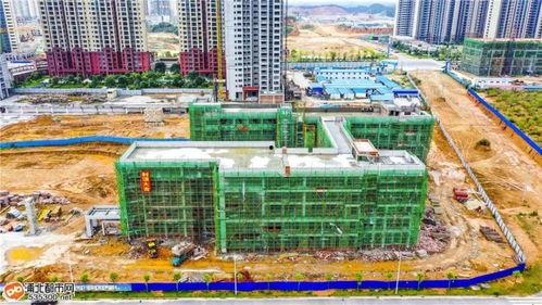 浦北最新爆料首页  第3张