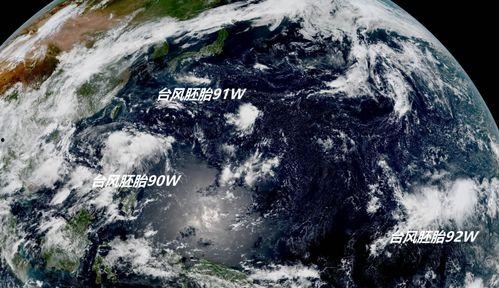 热点爆料日本台风视频  第3张