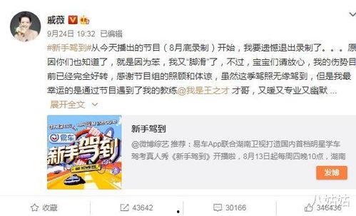 爆料娱乐圈消失的人,揭秘那些消失的明星之谜  第2张