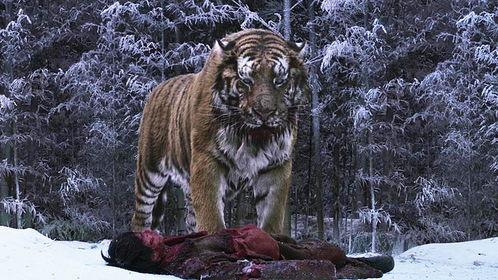 大虎电影完整在线观看,热血沸腾的复仇之旅  第2张