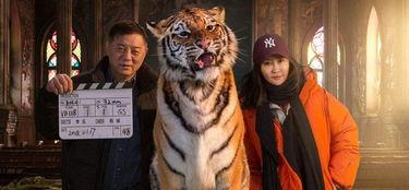 大虎电影完整在线观看,热血沸腾的复仇之旅  第3张