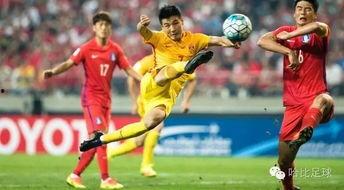 武磊球场爆料视频大全下载,精彩瞬间回顾与独家解读