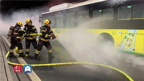 最近胶州爆料新闻视频播放,视频揭露惊人真相，引发社会关注