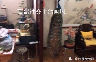 舅舅爆料博士视频播放在线观看,博士精彩视频，在线观看一网打尽！  第3张