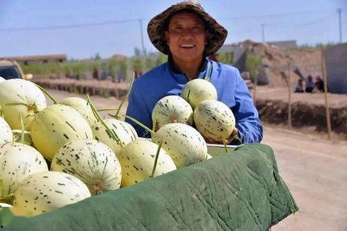 瓜州免费吃瓜骗局,警惕消费陷阱