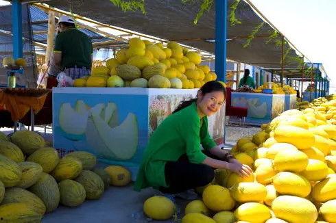 瓜州免费吃瓜骗局,警惕消费陷阱 第3张 瓜州免费吃瓜骗局,警惕消费陷阱 第3张