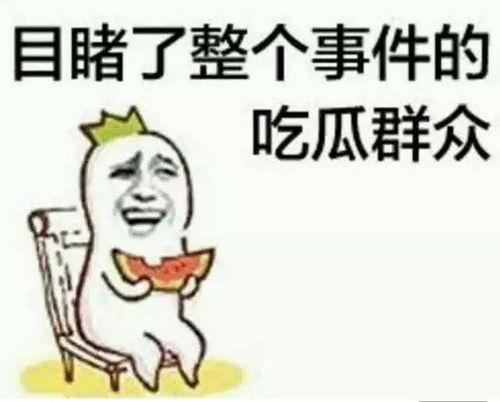娱乐吃瓜小象小说免费阅读,揭秘娱乐圈背后的秘密  第2张